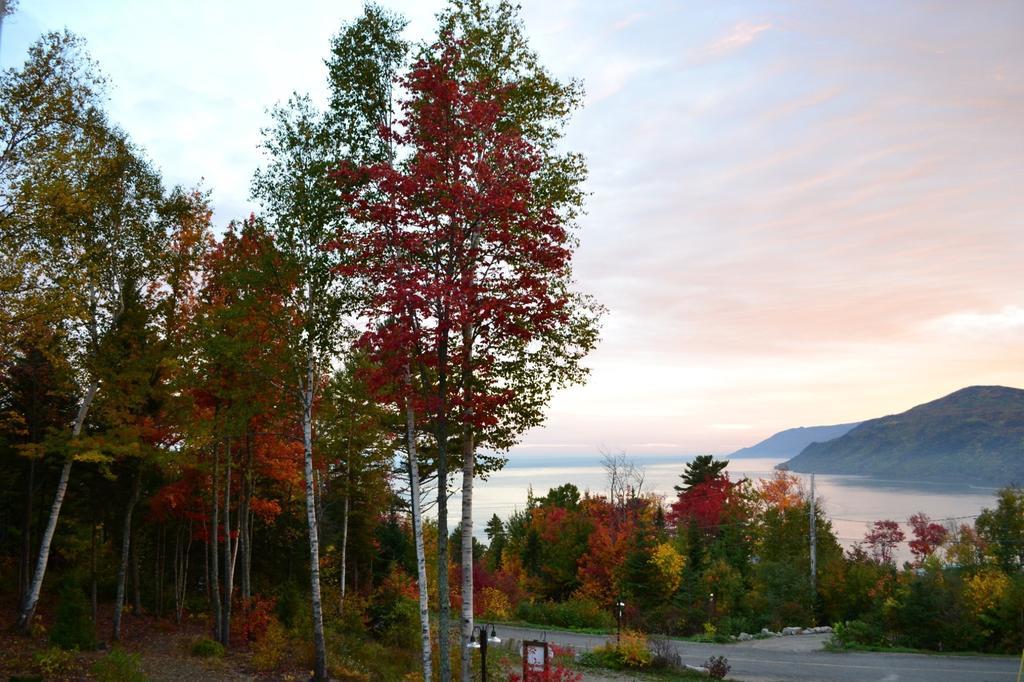 Gite Nature Et Pinceaux Baie-Saint-Paul Exteriör bild